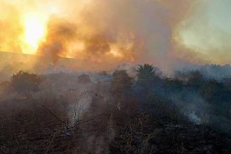 VIDEO Giurgiu: O suprafață de 120 de hectare de livadă, stuf și pădure a ars la Vieru, de la un foc deschis la o miriște