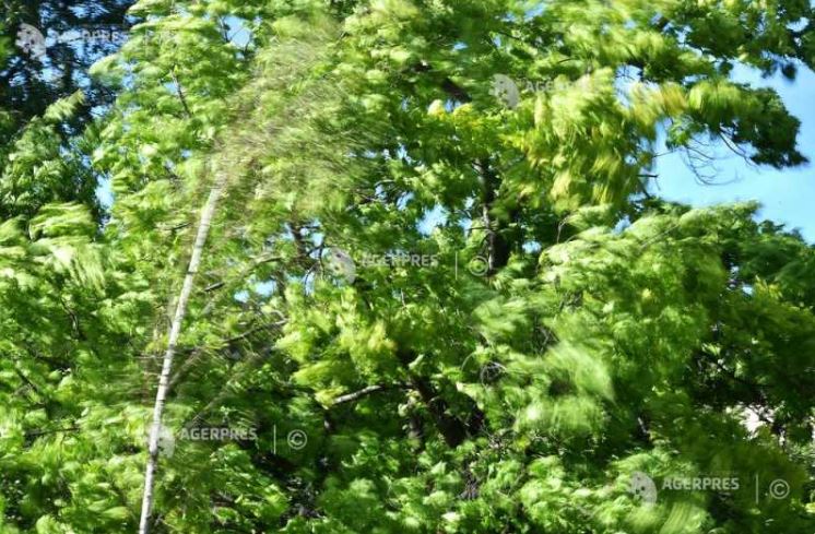 ANM: Cod galben de vânt puternic în 24 de județe, luni; informare de răcire a vremii, până joi dimineața