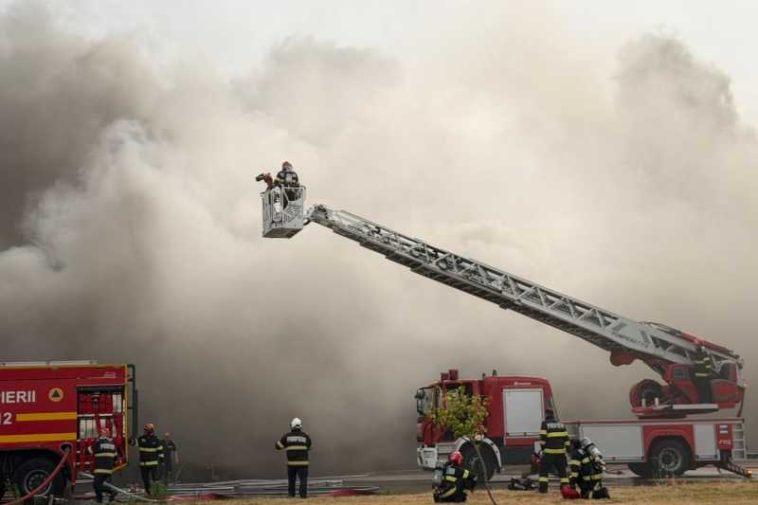Mehedinți: Incendiu de amploare la o fabrică de celuloză din Drobeta-Turnu Severin