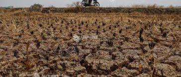 Actualul fenomen El Nino egalează un record, afirmă un om de știință