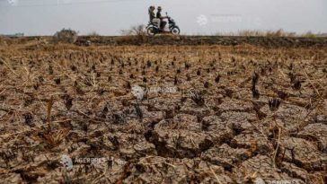Actualul fenomen El Nino egalează un record, afirmă un om de știință