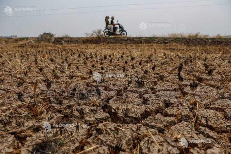 Actualul fenomen El Nino egalează un record, afirmă un om de știință