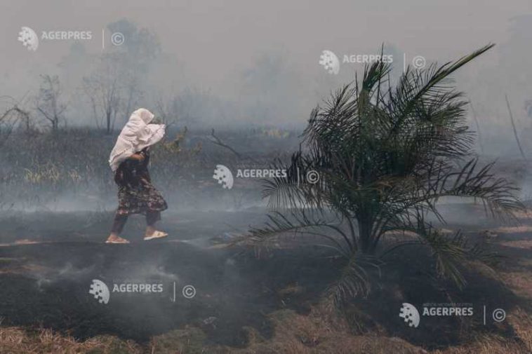 Peste 170.000 de oameni au avut probleme respiratorii provocate de degajările de fum din incendiile din Indonezia