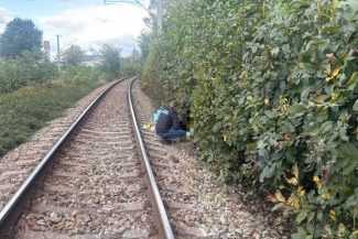 Neamț: Bărbat aflat la cules de nuci – accidentat mortal de tren la Roman