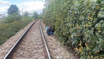 Neamț: Bărbat aflat la cules de nuci – accidentat mortal de tren la Roman