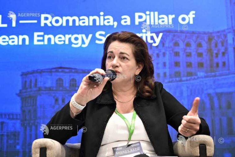 Frăsineanu: România trebuie să fie competitivă pe piața energiei electrice, în plan economic și industrial