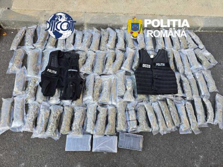 Un bulgar a fost prins în județul Dolj cu 3 kg de cocaină și 11 kg de canabis