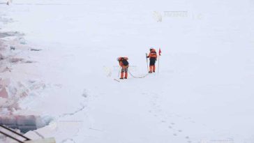 Peste 12,5 trilioane de tone de gheață polară au dispărut din anii ’70
