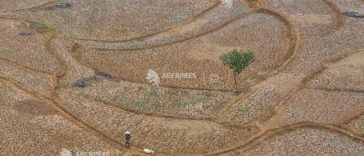 El Nino ar putea cauza 451.000 de decese suplimentare asociate cu căldura (studiu)