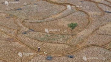 El Nino ar putea cauza 451.000 de decese suplimentare asociate cu căldura (studiu)