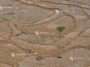 El Nino ar putea cauza 451.000 de decese suplimentare asociate cu căldura (studiu)