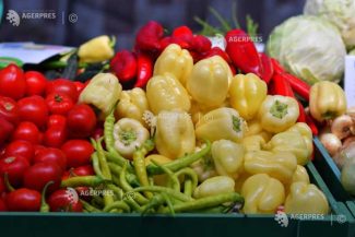 Prahova: Târgul de Toamnă de la Ploiești – zeci de producători aduc legume și fructe de sezon, produse apicole și tradiționale
