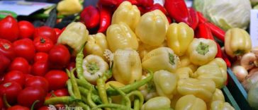 Prahova: Târgul de Toamnă de la Ploiești – zeci de producători aduc legume și fructe de sezon, produse apicole și tradiționale