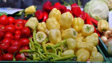 Prahova: Târgul de Toamnă de la Ploiești – zeci de producători aduc legume și fructe de sezon, produse apicole și tradiționale
