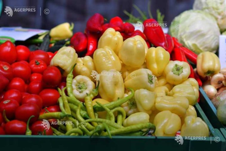 Prahova: Târgul de Toamnă de la Ploiești – zeci de producători aduc legume și fructe de sezon, produse apicole și tradiționale