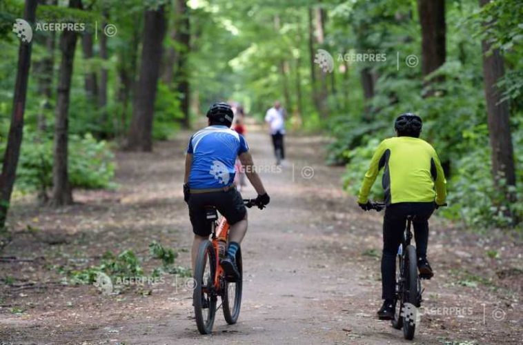 Excursie cu bicicleta, duminică, la Pădurea Băneasa
