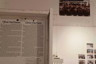 VIDEO REPORTAJ Timiș: Expoziția ‘Cinci hectare’ – de la povestea pâinii până la riscurile asumate de micii producători agricoli