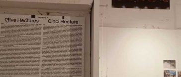 VIDEO REPORTAJ Timiș: Expoziția ‘Cinci hectare’ – de la povestea pâinii până la riscurile asumate de micii producători agricoli
