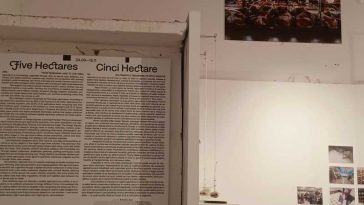 VIDEO REPORTAJ Timiș: Expoziția ‘Cinci hectare’ – de la povestea pâinii până la riscurile asumate de micii producători agricoli