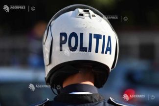 Sălaj: Cerb accidentat mortal după ce a intrat pe carosabil; o tânără a ajuns la spital