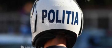 Sălaj: Cerb accidentat mortal după ce a intrat pe carosabil; o tânără a ajuns la spital