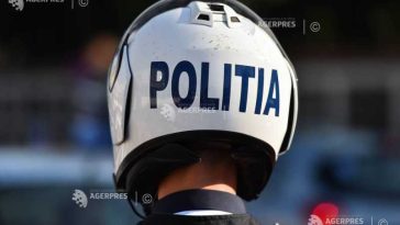 Sălaj: Cerb accidentat mortal după ce a intrat pe carosabil; o tânără a ajuns la spital