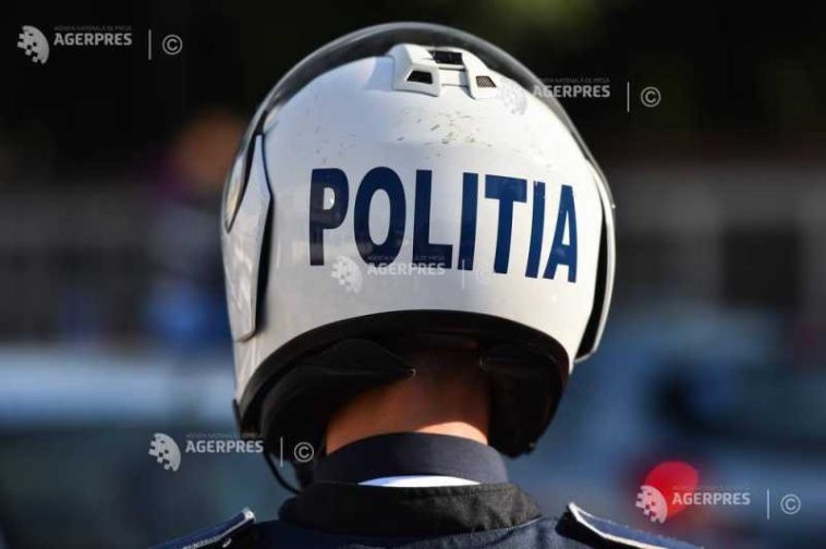 Sălaj: Cerb accidentat mortal după ce a intrat pe carosabil; o tânără a ajuns la spital