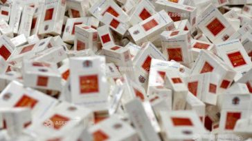 Iași: 100.000 de țigări de contrabandă, descoperite de polițiștii de frontieră
