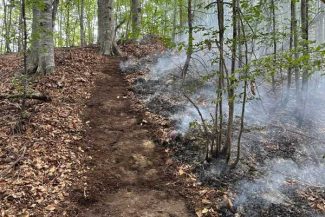 Vâlcea: Incendiul din fondul forestier al localității Băile Olănești s-a extins pe aproximativ 22 de hectare
