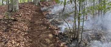 Vâlcea: Incendiul din fondul forestier al localității Băile Olănești s-a extins pe aproximativ 22 de hectare