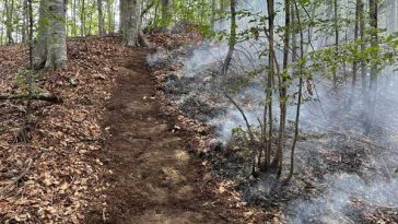 Vâlcea: Incendiul din fondul forestier al localității Băile Olănești s-a extins pe aproximativ 22 de hectare
