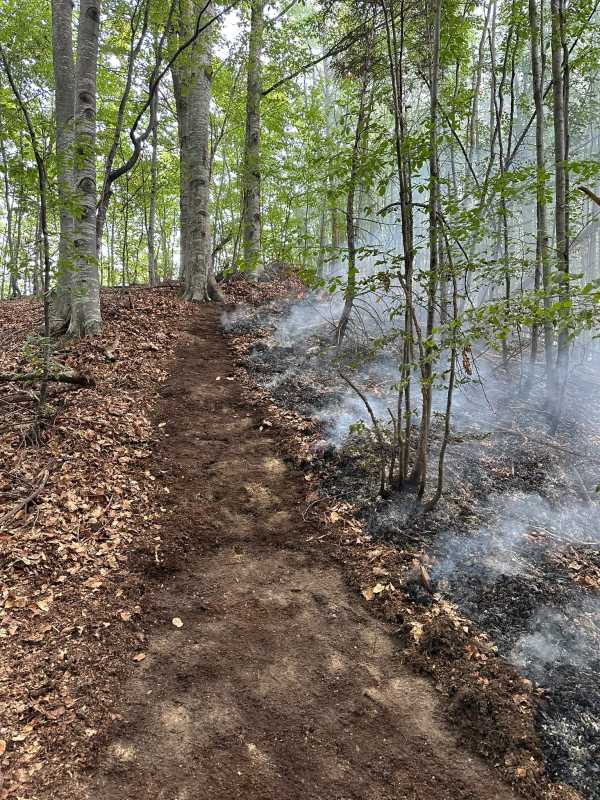Vâlcea: Incendiul din fondul forestier al localității Băile Olănești s-a extins pe aproximativ 22 de hectare