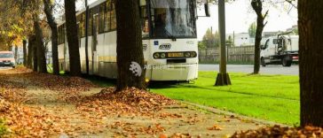 Vreme normală pentru finalul lunii septembrie în București, până la jumătatea săptămânii viitoare (meteorologi)