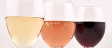 Producătorii de vin din Italia reduc producția chiar dacă au avut o recoltă de ‘cinci stele’ în acest an