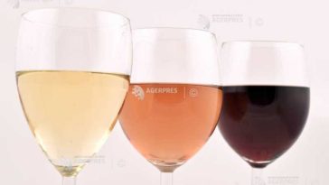 Producătorii de vin din Italia reduc producția chiar dacă au avut o recoltă de ‘cinci stele’ în acest an