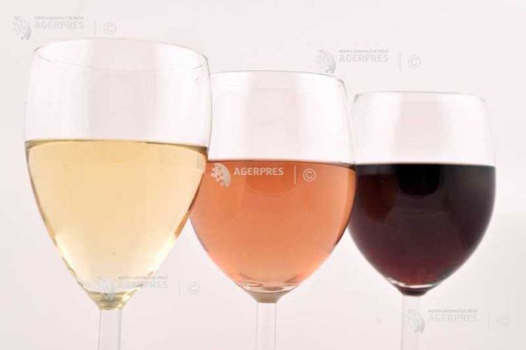 Producătorii de vin din Italia reduc producția chiar dacă au avut o recoltă de ‘cinci stele’ în acest an