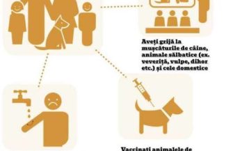 28 septembrie – Ziua mondială de luptă împotriva rabiei (OMS)