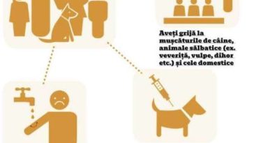 28 septembrie – Ziua mondială de luptă împotriva rabiei (OMS)