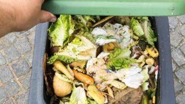 Peste 58 de milioane de tone de deșeuri alimentare, generate anual în Uniunea Europeană