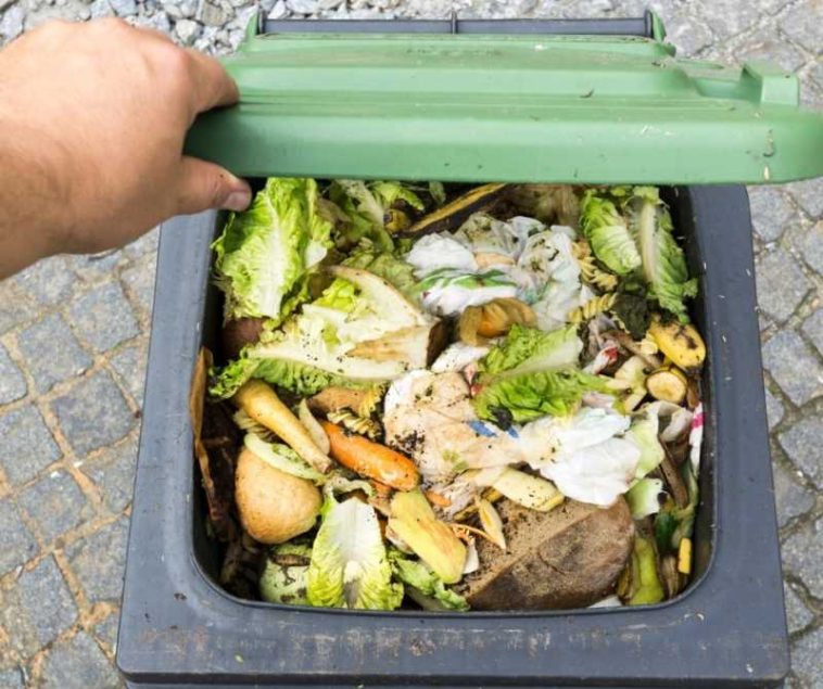Peste 58 de milioane de tone de deșeuri alimentare, generate anual în Uniunea Europeană