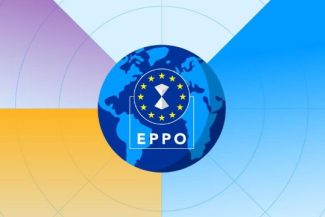 Percheziții în 19 țări europene în legătură cu o presupusă fraudă de 300 milioane de euro cu telefoane mobile, anunță EPPO