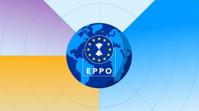 Percheziții în 19 țări europene în legătură cu o presupusă fraudă de 300 milioane de euro cu telefoane mobile, anunță EPPO