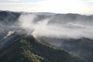 Vâlcea: Incendiul de pădure din Olănești s-a extins; suprafața afectată a ajuns la 34 de hectare