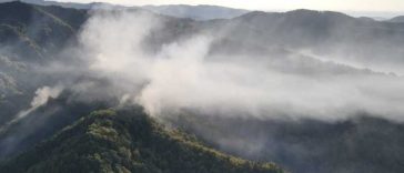 Vâlcea: Incendiul de pădure din Olănești s-a extins; suprafața afectată a ajuns la 34 de hectare