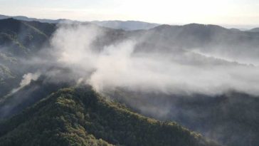 Vâlcea: Incendiul de pădure din Olănești s-a extins; suprafața afectată a ajuns la 34 de hectare
