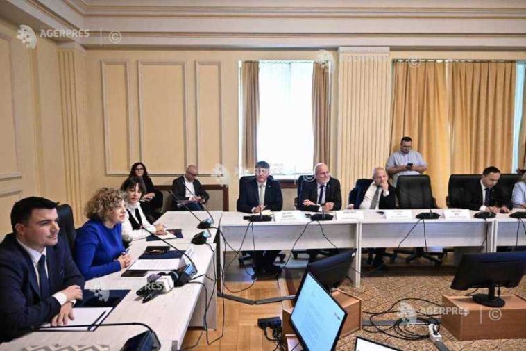 Parlament – audieri miniștri/ Oana Gheorghiu – aviz negativ în Comisiile pentru sănătate