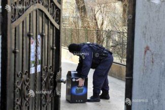 Percheziții la un grup de interese de la Direcția Silvică Neamț într-un dosar de infracțiuni în domeniul silvic (surse)