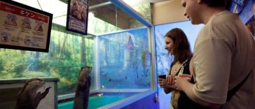 Japonia va inspecta pentru prima dată cafenelele cu animale pe fondul unor temeri sanitare