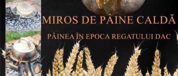 Vâlcea: Povestea pâinii în epoca regatului dac, prezentată în expoziție la Muzeul Județean