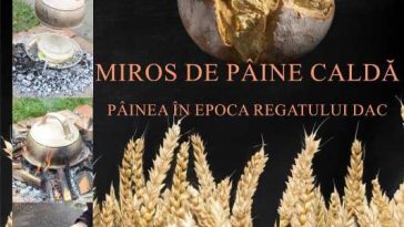 Vâlcea: Povestea pâinii în epoca regatului dac, prezentată în expoziție la Muzeul Județean